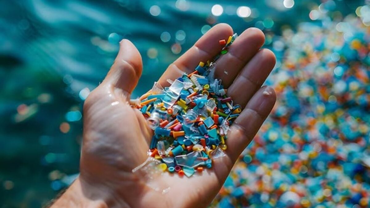 Como os microplásticos no corpo humano podem afetar nossa saúde?