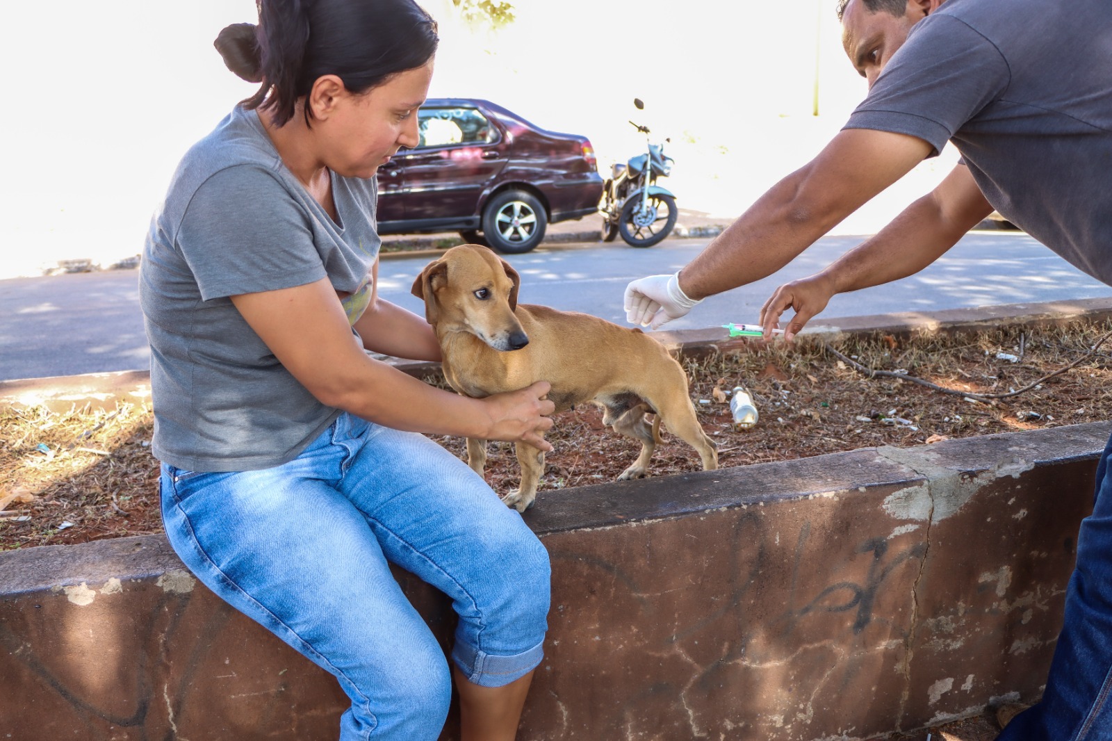 Centro de Zoonoses realiza vacinação antirrábica na UBS Nova Morada