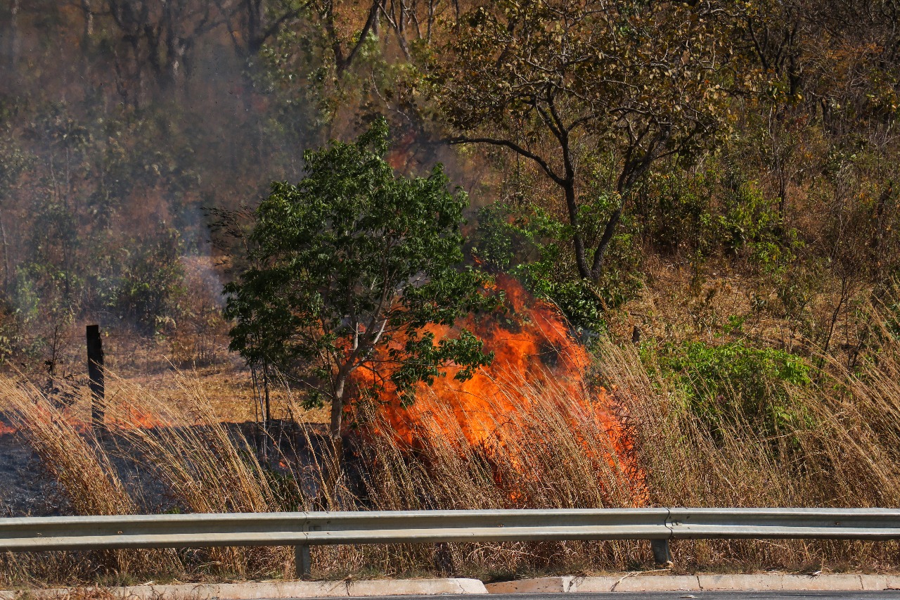 Senador Canedo registra mais de 300 ocorrências de incêndio em agosto e reforça alerta à população